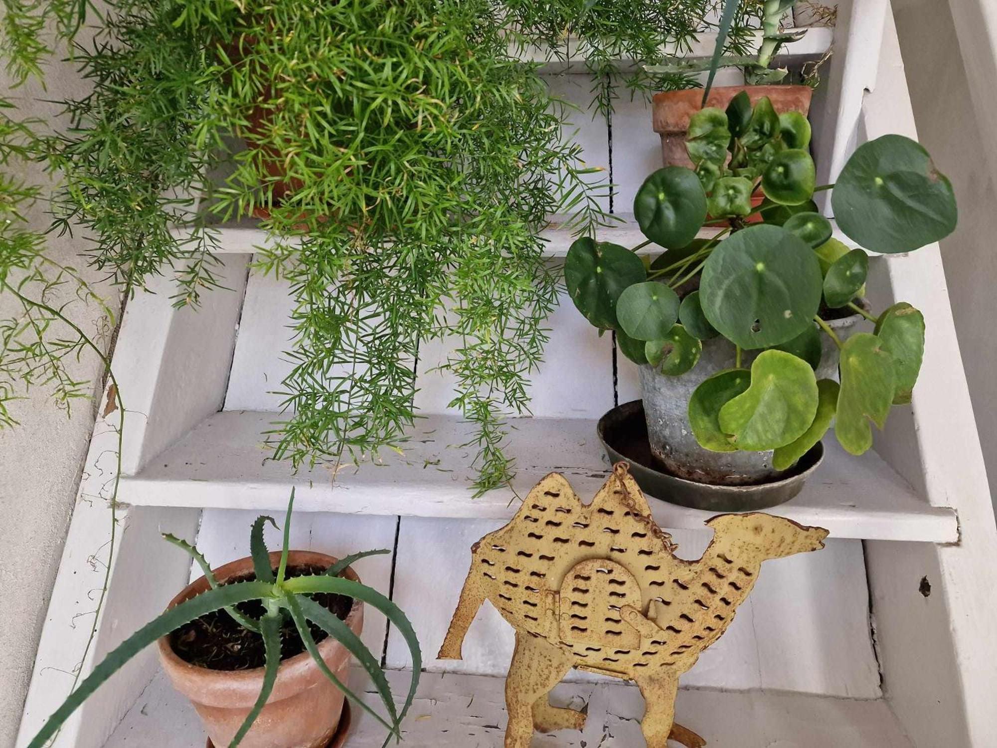 Corte Del Fuin Seregno Phòng bức ảnh